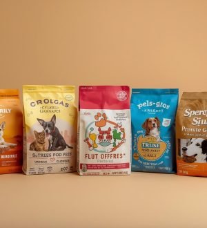 Top 5 Fresh Dog Food Brands in the USA: Which is Right for Your Pup?
